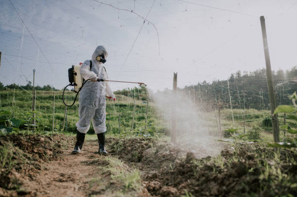 Best Mosquito Control Services  in Rolling Hills, CA